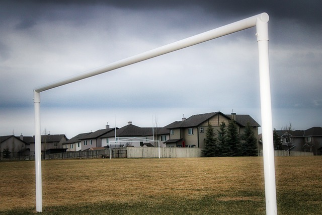 这粒进球既 这粒进球既