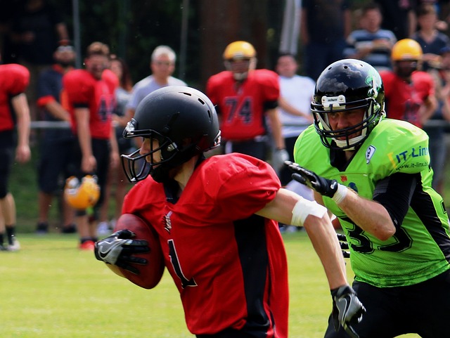 因为他不仅 因为他不仅