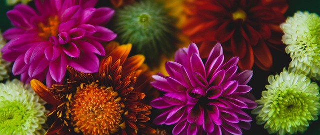 貴的信心 貴的信心