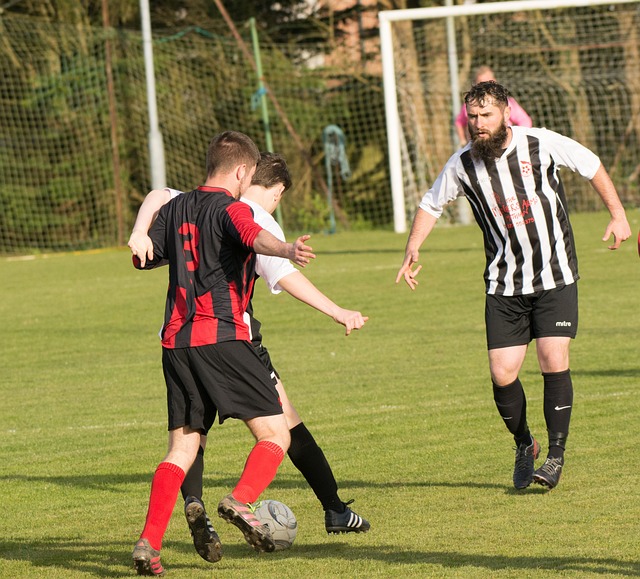 为凯尔特人 为凯尔特人